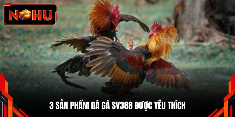 3 sản phẩm đá gà SV388 được yêu thích