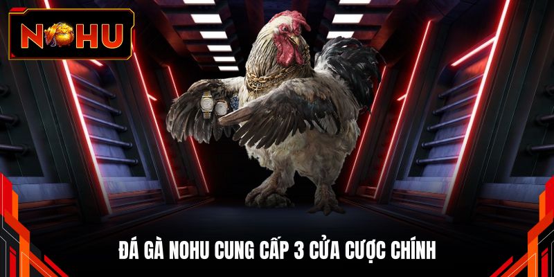 Đá gà NOHU cung cấp 3 cửa cược chính