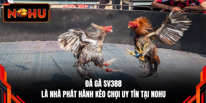 Đá gà SV388 là nhà phát hành kèo chọi uy tín tại NOHUĐá gà SV388 là nhà phát hành kèo chọi uy tín tại NOHU